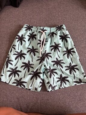 Boy’s Mint Green Palm-Print Swim Shorts